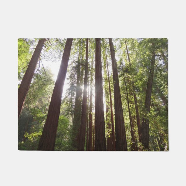 Tot de sequoia's in de ochtend deurmat (Voorkant)