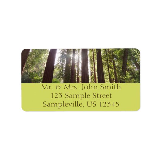 Tot de sequoia's in de ochtend etiket (Voorkant)