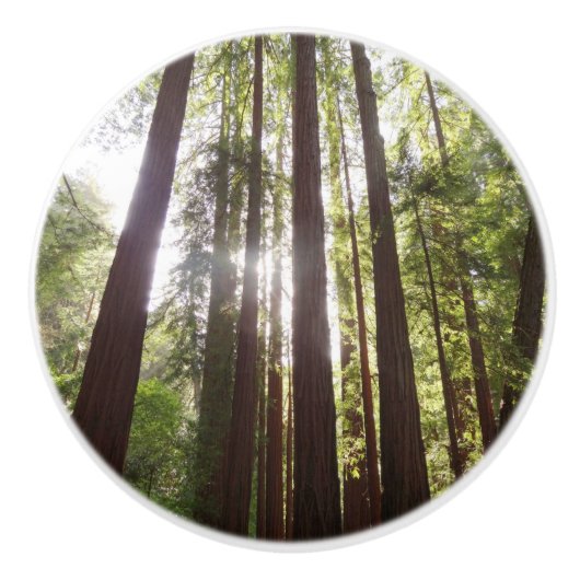 Tot de sequoia's in de ochtend keramische knop (Voorkant)