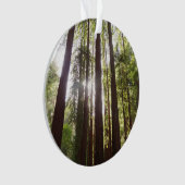 Tot de sequoia's in de ochtend ornament (voorkant)