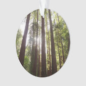 Tot de sequoia's in de ochtend ornament (voorkant)