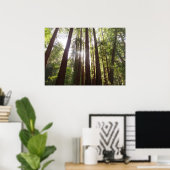 Tot de sequoia's in de ochtend poster (Thuiskantoor)