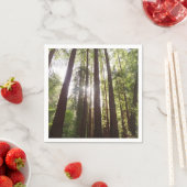 Tot de sequoia's in de ochtend servet (Insitu)