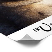 Tot er geen is, neem dan een poster (Hoek)