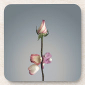 Tot het laatste blad... bier onderzetter (Voorkant)