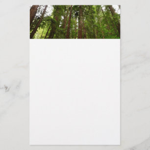 Tot Redwoods I in Muir Woods National Monument Briefpapier