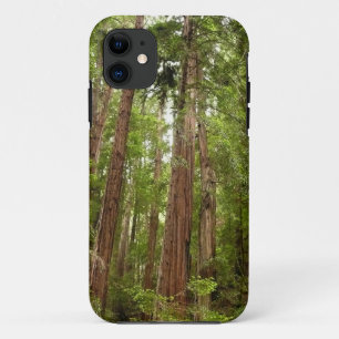 Tot Redwoods I in Muir Woods National Monument iPhone 11 Hoesje