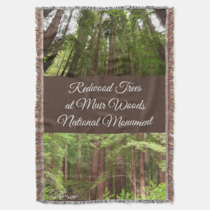 Tot Redwoods I in Muir Woods National Monument Deken