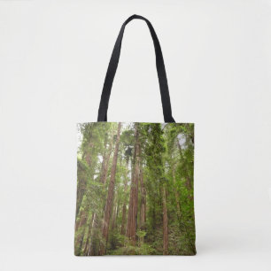 Tot Redwoods I in Muir Woods National Monument Draagtas
