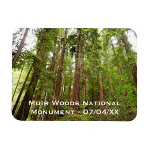 Tot Redwoods I in Muir Woods National Monument Magneet