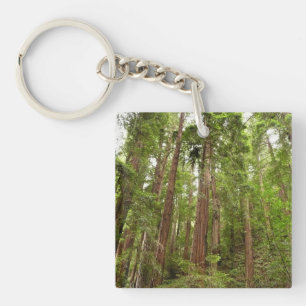 Tot Redwoods I in Muir Woods National Monument Sleutelhanger