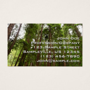 Tot Redwoods I in Muir Woods National Monument Visitekaartje