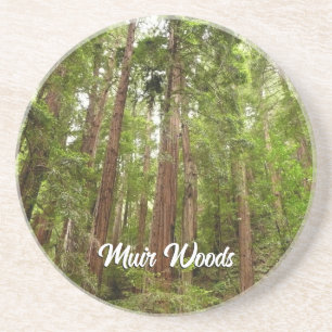 Tot Redwoods I in Muir Woods National Monument Zandsteen Onderzetter