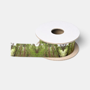 Tot Redwoods I Lint