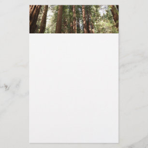 Tot Redwoods II bij Muir Woods National Monument Briefpapier