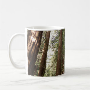 Tot Redwoods II bij Muir Woods National Monument Koffiemok