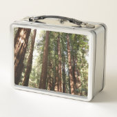 Tot Redwoods II in Muir Bossen National Monument (Achterkant)