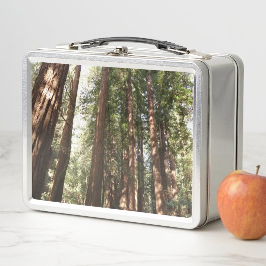 Tot Redwoods II in Muir Bossen National Monument (In situ)