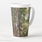 Tot Redwoods II in Muir Bossen National Monument Latte Mok (Rechterhoek)