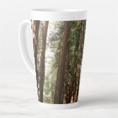 Tot Redwoods II in Muir Bossen National Monument Latte Mok (Linkerhoek)