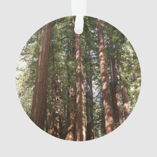 Tot Redwoods II in Muir Bossen National Monument Ornament (achterkant)