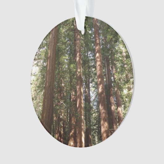 Tot Redwoods II in Muir Bossen National Monument Ornament (voorkant)