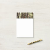 Tot Redwoods II in Muir Bossen National Monument Post-it® Notes (Op bureau)