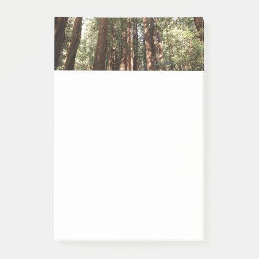 Tot Redwoods II in Muir Bossen National Monument Post-it® Notes (Voorkant)