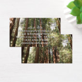 Tot Redwoods II in Muir Bossen National Monument Visitekaartje (Bureau)