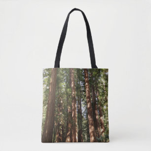 Tot Redwoods II in Muir Woods National Monument Draagtas