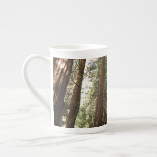 Tot Redwoods II in Muir Woods National Monument Porselein Kop