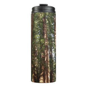 Tot Redwoods II in Muir Woods National Monument Thermosbeker