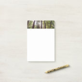 Tot Redwoods in de ochtend Post-it® Notes (Op bureau)