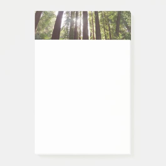 Tot Redwoods in de ochtend Post-it® Notes (Voorkant)