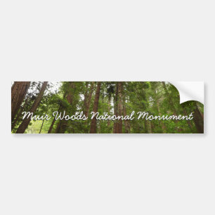 Tot Redwoods in Muir Bossen National Monument Bumpersticker