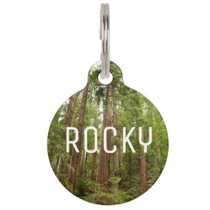 Tot Redwoods in Muir Bossen National Monument Huisdierpenning