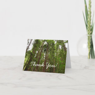 Tot Redwoods in Muir Bossen National Monument Kaart