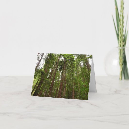 Tot Redwoods in Muir Bossen National Monument Kaart (Voorkant)