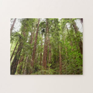 Tot Redwoods in Muir Bossen National Monument Legpuzzel