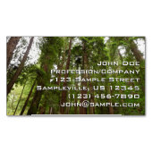Tot Redwoods in Muir Bossen National Monument Magnetisch Visitekaartje (Voorkant)