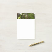 Tot Redwoods in Muir Bossen National Monument Post-it® Notes (Op bureau)