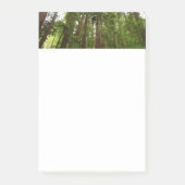Tot Redwoods in Muir Bossen National Monument Post-it® Notes (Voorkant)