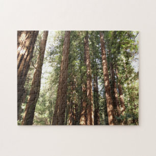 Tot Reuzenbomen II in Muir Woods National Monument Legpuzzel