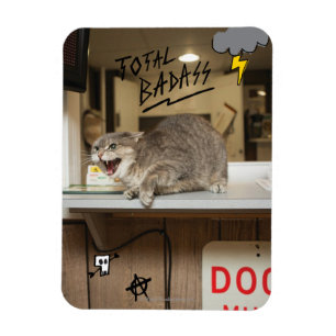 Totale badkat magneet