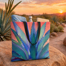 Agave au coucher du soleil