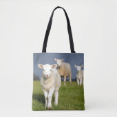 Tote Bag Agneau curieux (Devant)