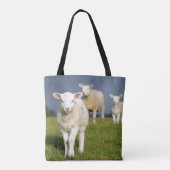 Tote Bag Agneau curieux (Dos)