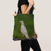 Tote Bag Albino Robin dans Crown Point (De près)