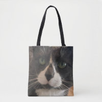 Alice Le Chat Fourre-tout