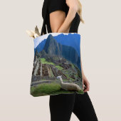 Tote Bag Amérique du Sud, Pérou. Un lama repose sur une col (De près)
